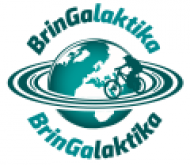 bringalaktika-logo